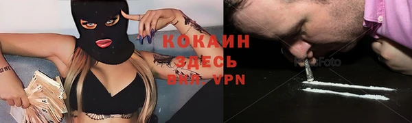 прущие крисы Богданович