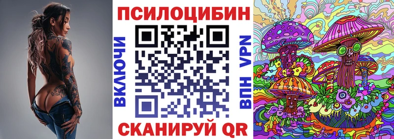 где купить наркоту  Берёзовка  Галлюциногенные грибы Magic Shrooms 
